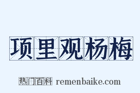 项里观杨梅是什么意思的图片